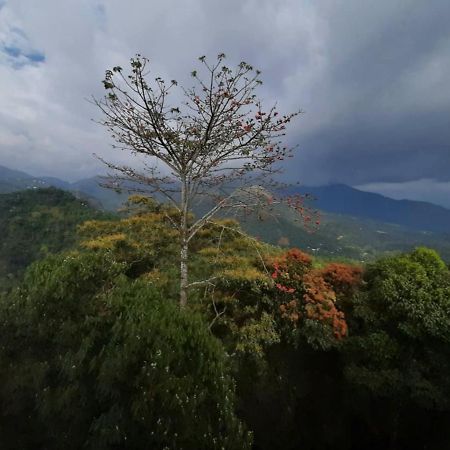 Palmtree Leaf, Munnar Hotel Exterior foto